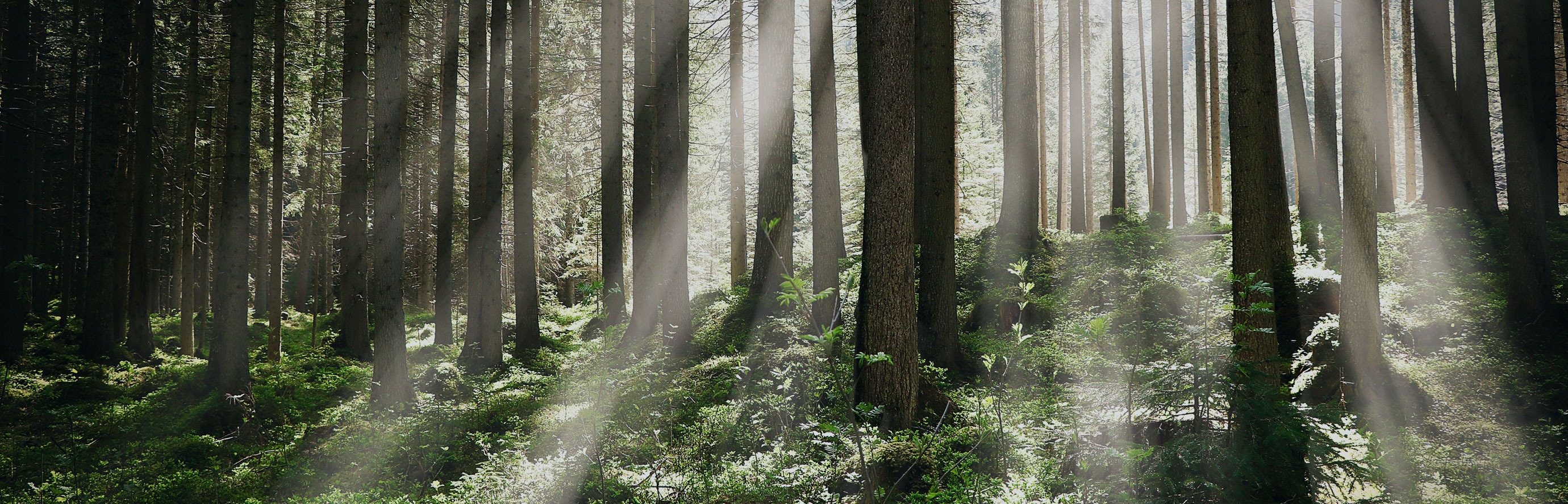 Groen denken en doen